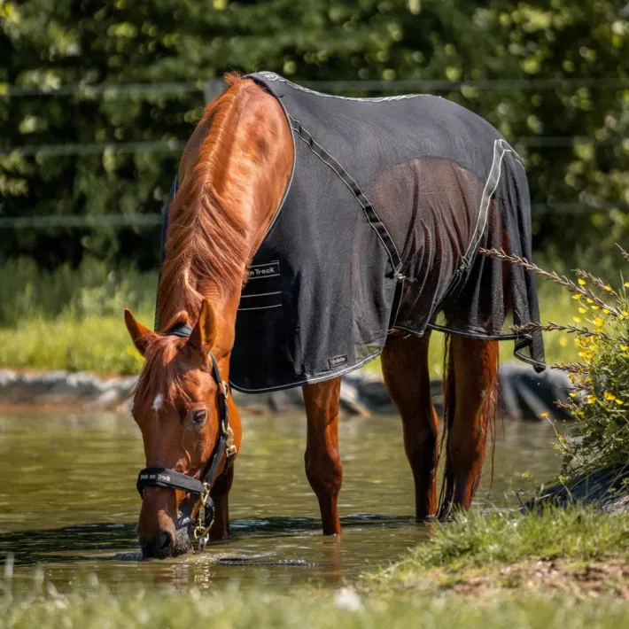 Back on Track Sienna Mesh zweetdeken